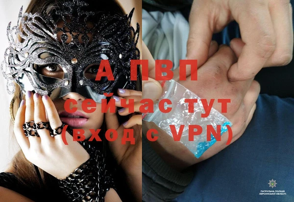 тгк Арсеньев