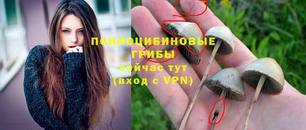 герыч Аркадак